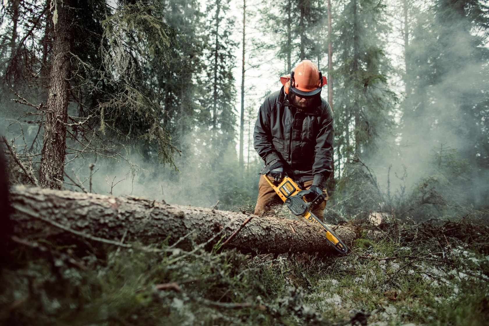 Persona usa motosega DEWALT per tagliare un albero caduto in una foresta nebbiosa. Indossa protezioni.
